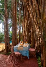 Nature-Inspired Dining