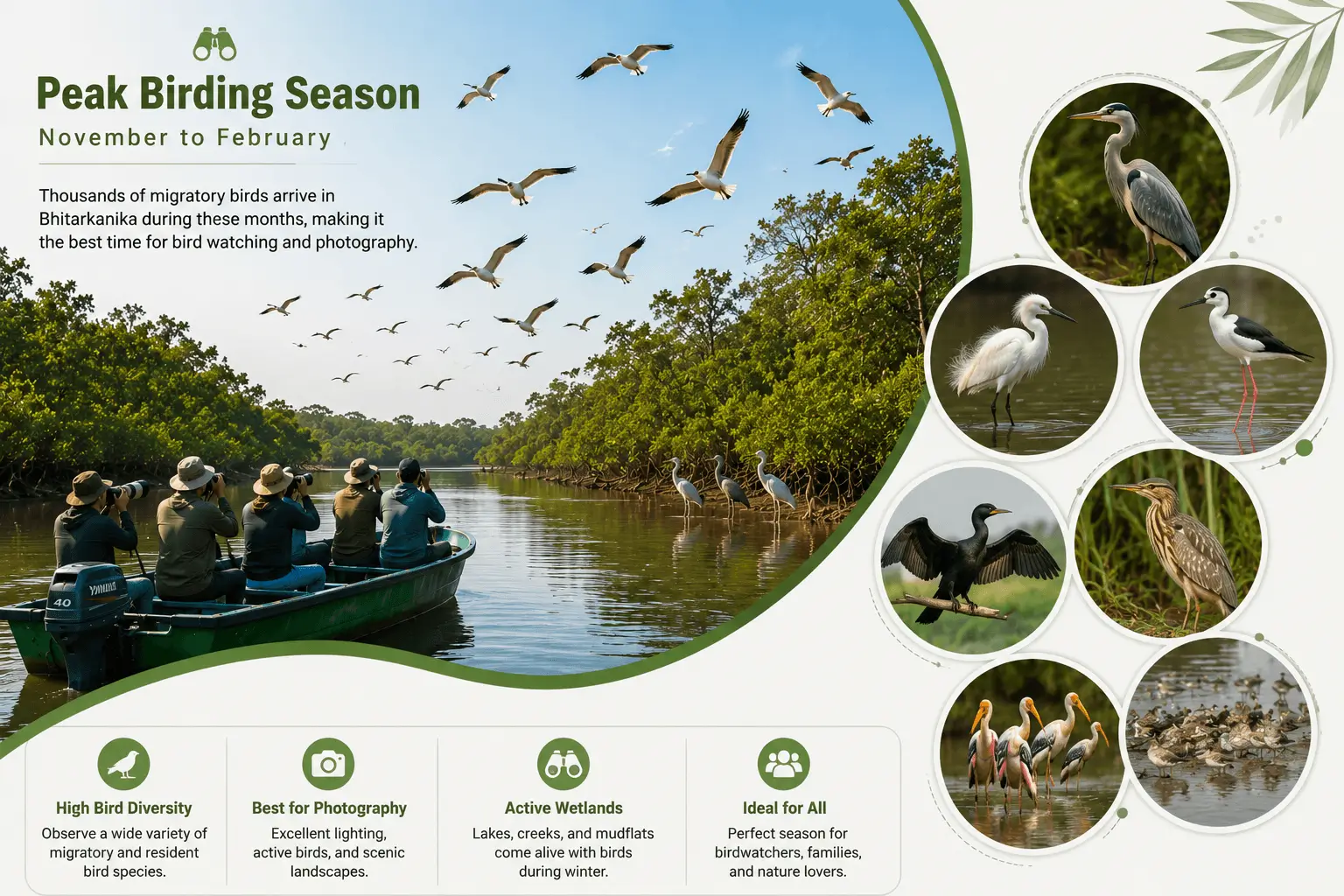 Peak birding season in Bhitarkanika (1)