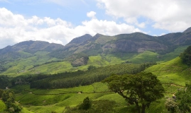 Munnar to Thekkady