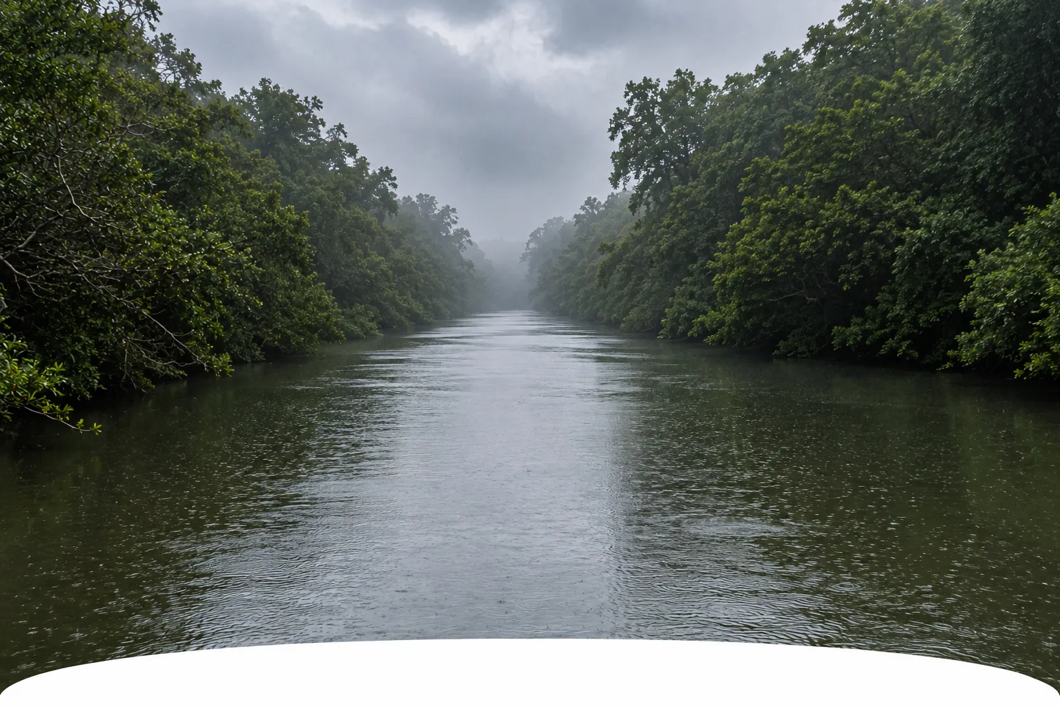 Monsoon Lush & Green