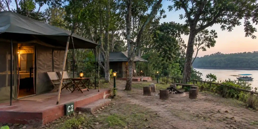 night stay in bhitarkanika