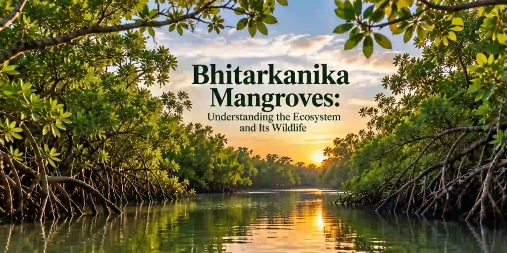 Bhitarkanika Mangrove Ecosystem