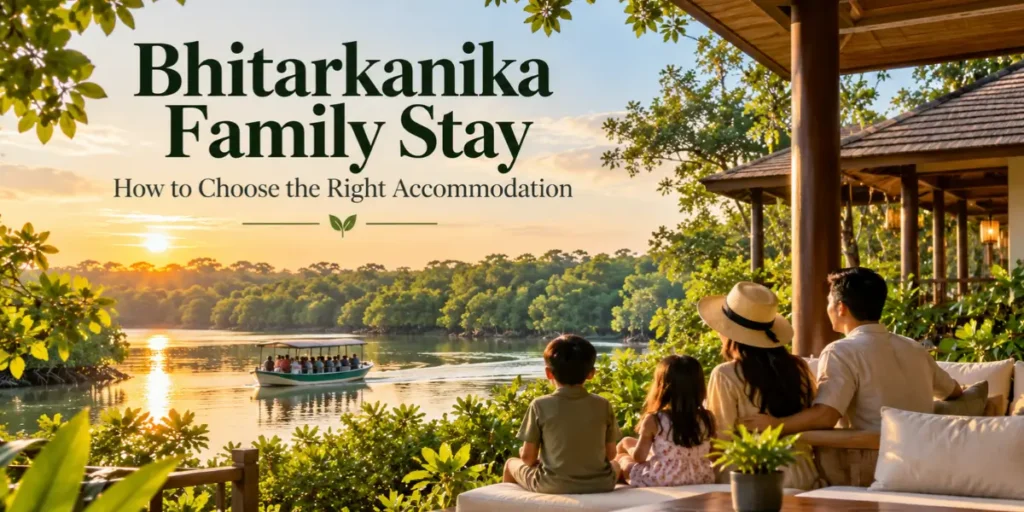 Bhitarkanika family stay guide with mangrove waterways at sunset